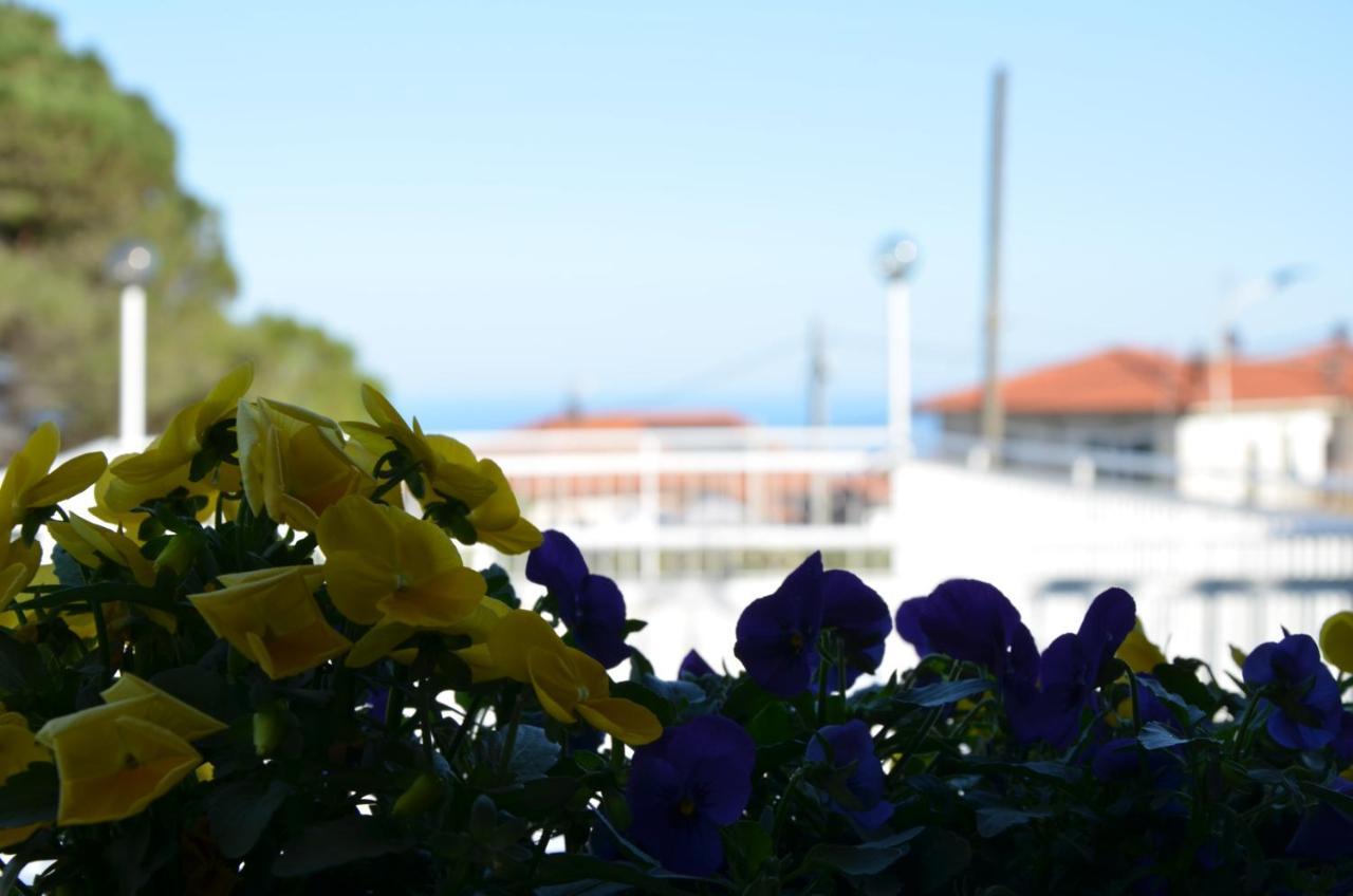 Villa La Parisienne Diano Borello Bagian luar foto